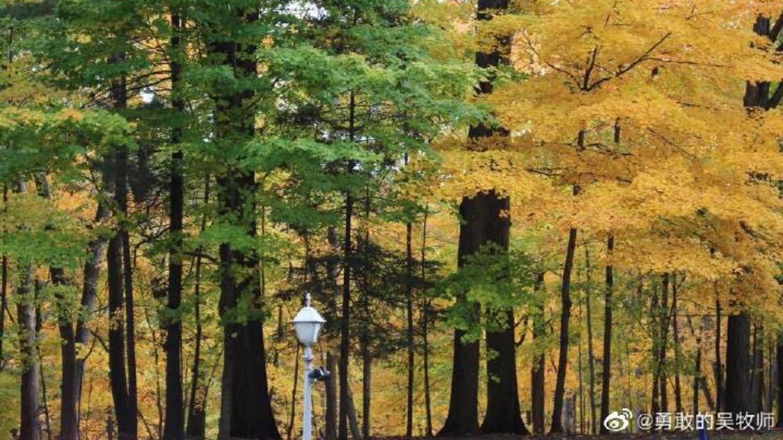 卡盟低价ks：自媒体创业指南零基础快速入门技巧